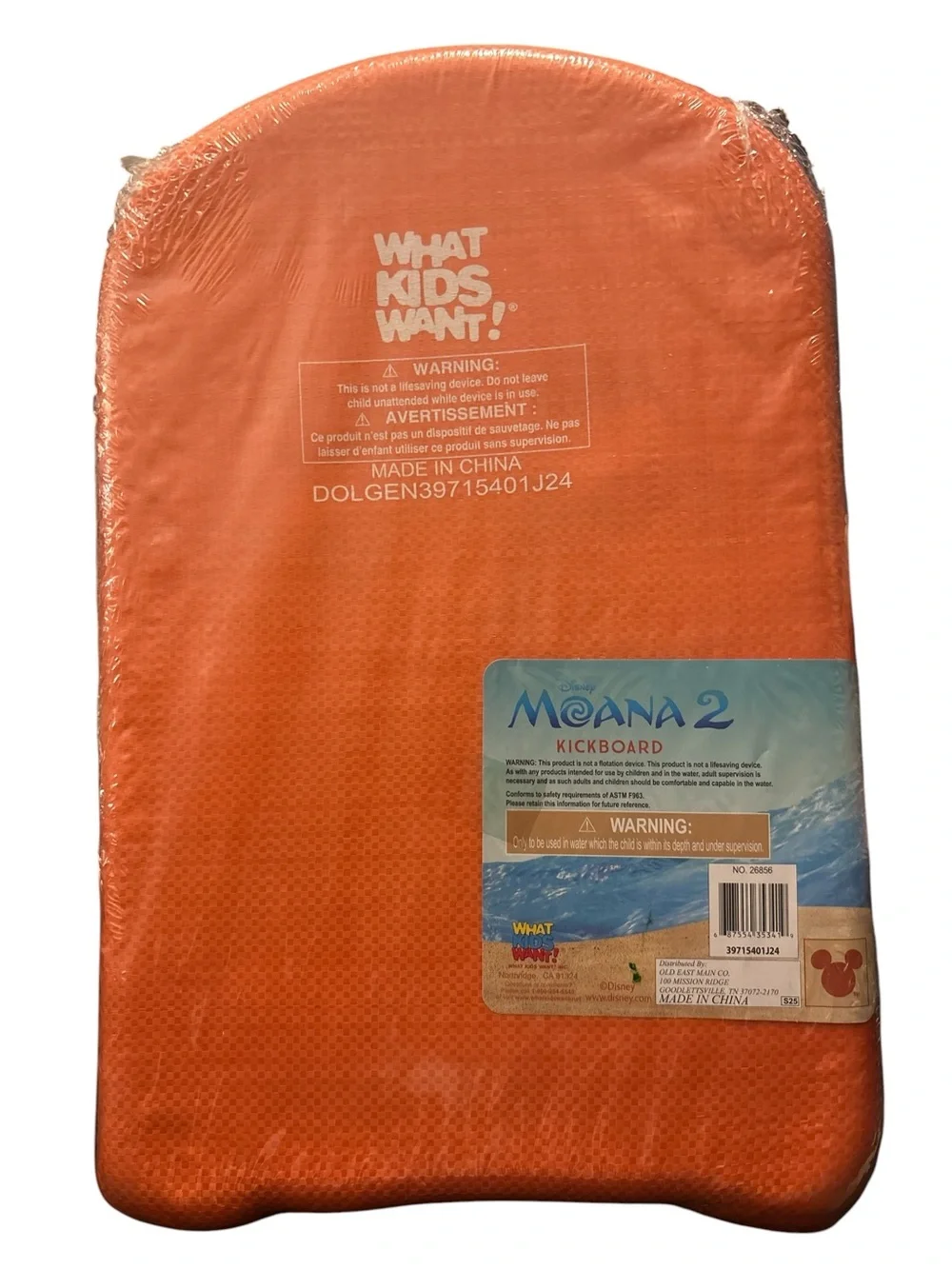 Disney Moana 2 Kickboard